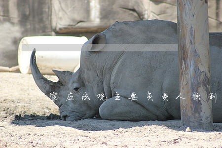 宝应法院主要负责人顺利交接
