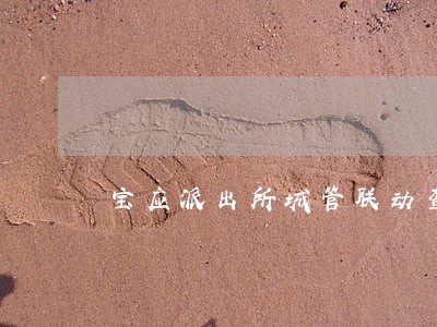 宝应派出所城管联动查处交通违法 宝应派出所城管联动查处交通违法