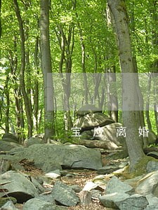 宝应离婚律师咨询电话