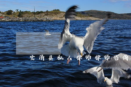 宝清县私人律师律师咨询电话