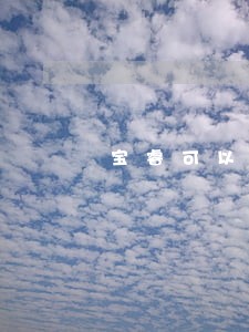 宝睿可以只还本金不 宝睿可以只还本金不