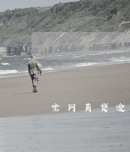 宝网商贷逾期了会怎么样吗