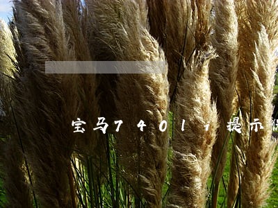 宝马740li提示保养已逾期