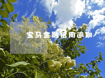 宝马金融信用逾期 宝马金融信用逾期