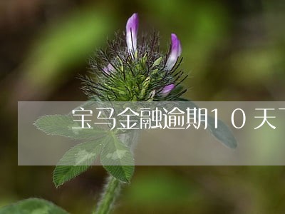 宝马金融逾期10天了 宝马金融逾期10天了