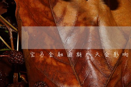 宝马金融逾期1天会影响征信吗 宝马金融逾期1天会影响征信吗