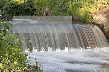 宝马金融逾期30天会拖车吗 宝马金融逾期30天会拖车吗