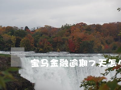 宝马金融逾期7天怎么办 宝马金融逾期7天怎么办
