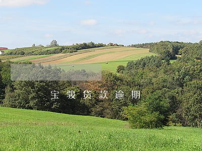 宝骏贷款逾期 宝骏贷款逾期