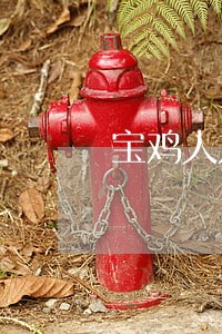 宝鸡人力资源网 宝鸡人力资源网