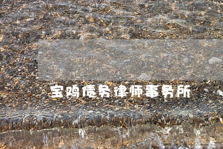 宝鸡债务律师事务所 宝鸡债务律师事务所