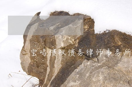 宝鸡债权债务律师事务所排名 宝鸡债权债务律师事务所排名