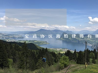 宝鸡协议离婚律师有哪些 宝鸡协议离婚律师有哪些