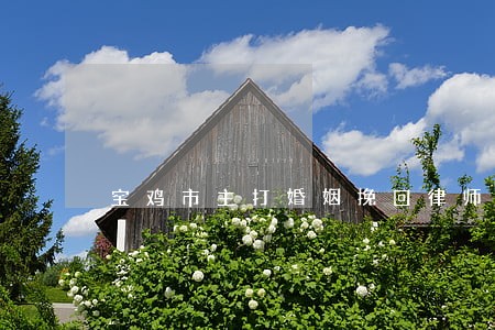 宝鸡市主打婚姻挽回律师 宝鸡市主打婚姻挽回律师
