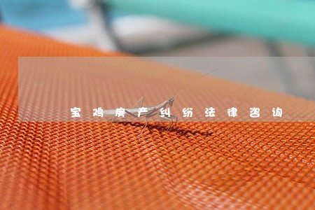 宝鸡房产纠纷法律咨询 宝鸡房产纠纷法律咨询