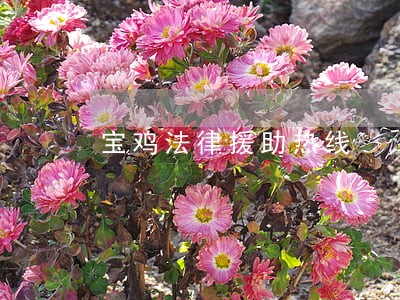 宝鸡法律援助热线