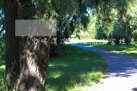 宝鸡渭滨区法院法官姓名 宝鸡渭滨区法院法官姓名
