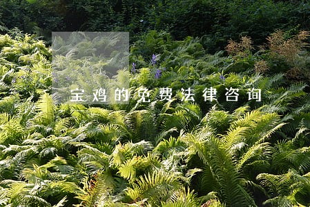 宝鸡的免费法律咨询 宝鸡的免费法律咨询