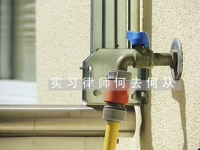 实习律师何去何从 实习律师何去何从