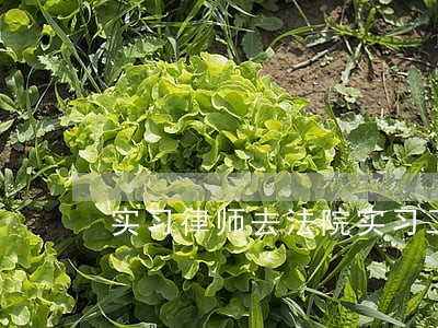 实习律师去法院实习工资 实习律师去法院实习工资