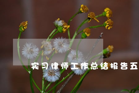 实习律师工作总结报告五篇