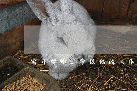 实习律师日常该做的工作 实习律师日常该做的工作