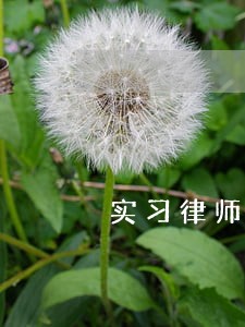 实习律师校园招聘 实习律师校园招聘