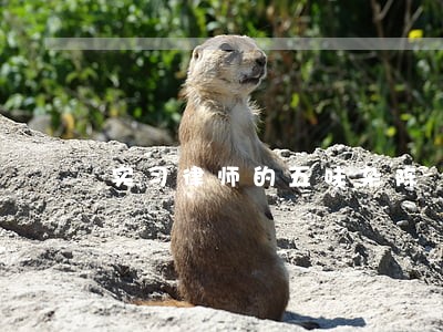实习律师的五味杂陈 实习律师的五味杂陈
