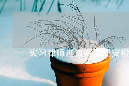 实习律师进法院需要安检吗