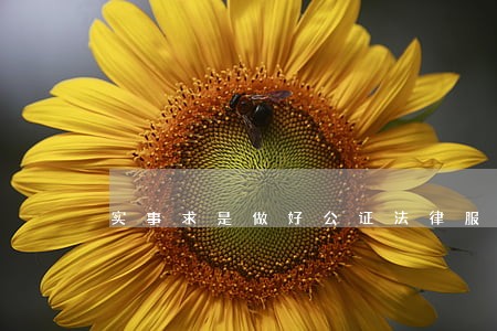 实事求是做好公证法律服务 实事求是做好公证法律服务