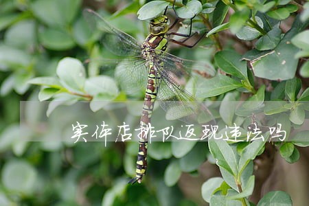 实体店排队返现违法吗 实体店排队返现违法吗