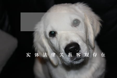 实体法律关系客观存在 实体法律关系客观存在