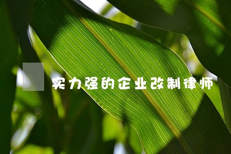 实力强的企业改制律师 实力强的企业改制律师
