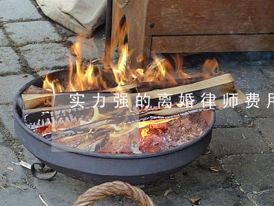 实力强的离婚律师费用 实力强的离婚律师费用