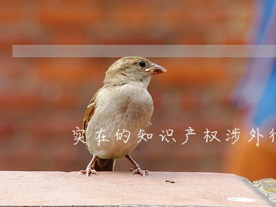 实在的知识产权涉外律师费用