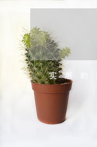 实惠的南京债务律师免费咨询 实惠的南京债务律师免费咨询