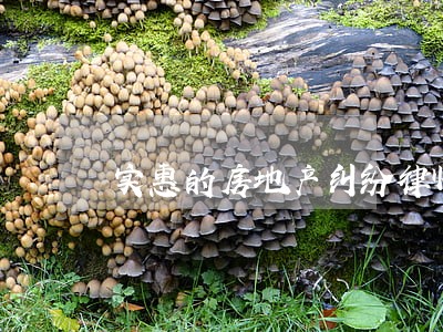 实惠的房地产纠纷律师 实惠的房地产纠纷律师
