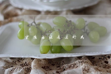 实施无证违法行为 实施无证违法行为