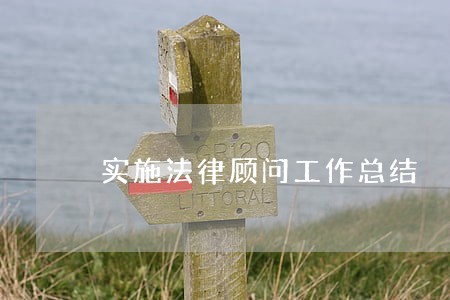 实施法律顾问工作总结 实施法律顾问工作总结