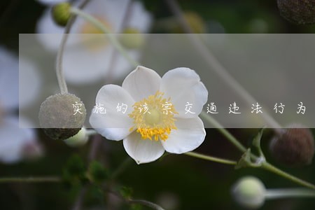 实施的该宗交通违法行为 实施的该宗交通违法行为
