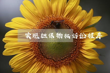 实现担保物权诉讼程序 实现担保物权诉讼程序