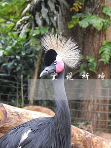 实现新时代法院工作 实现新时代法院工作