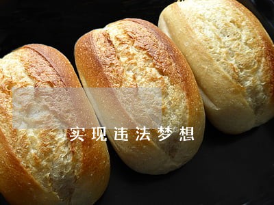 实现违法梦想 实现违法梦想