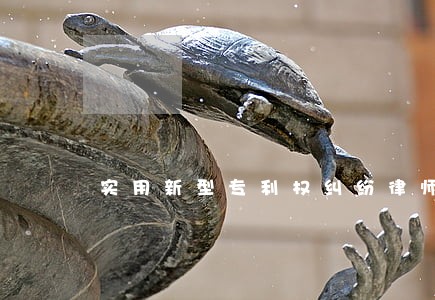 实用新型专利权纠纷律师哪个好 实用新型专利权纠纷律师哪个好
