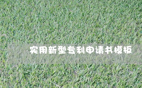 实用新型专利申请书模板 实用新型专利申请书模板
