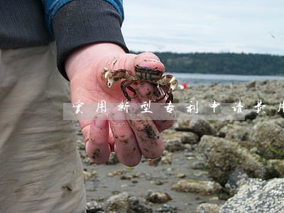 实用新型专利申请费用减免 实用新型专利申请费用减免