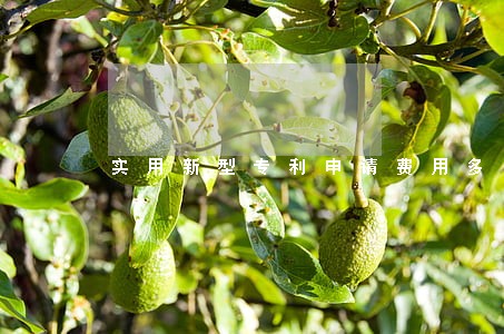 实用新型专利申请费用多少钱