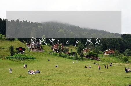 实践中top原则 实践中top原则