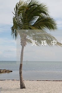 实践中竞争关系变迁 实践中竞争关系变迁