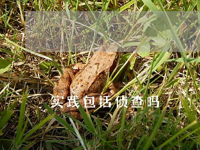 实践包括侦查吗 实践包括侦查吗